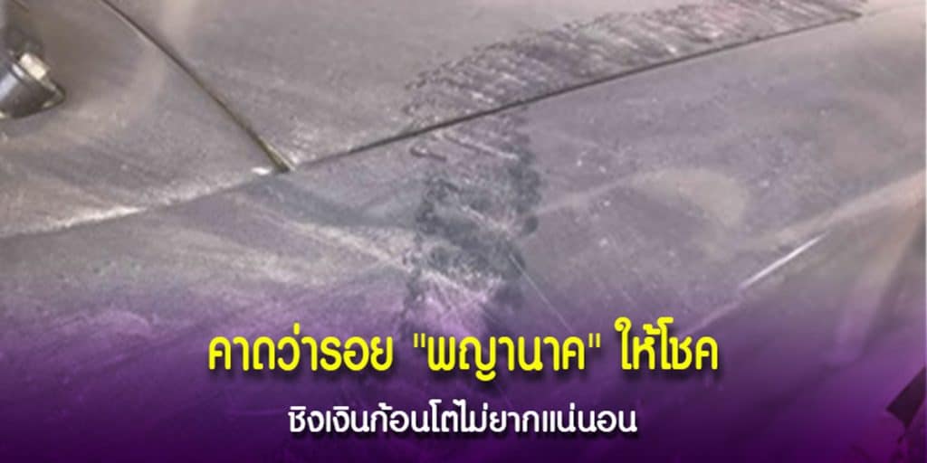 รอยพญานาคให้โชค