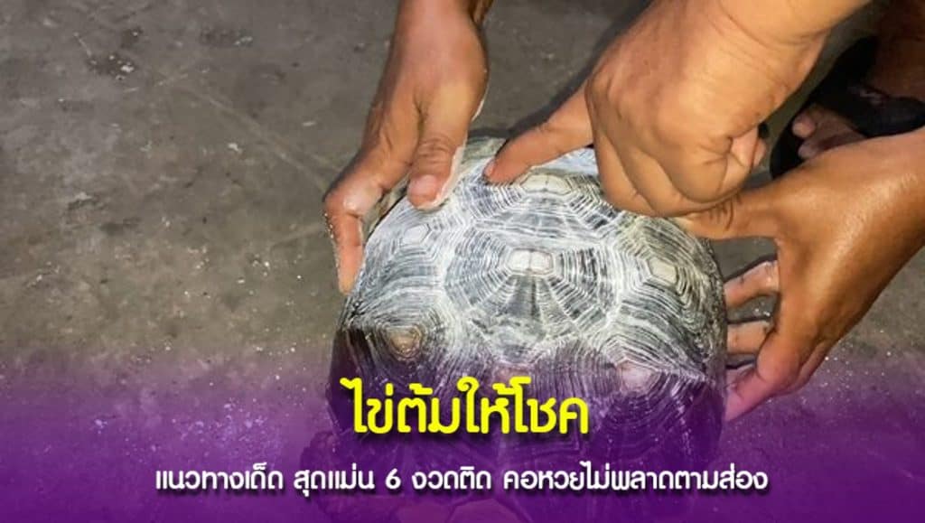 เลขเด็ด แแประจำหมู่บ้าน