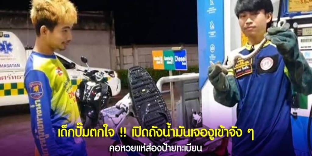 เปิดเบาะรถมอไซค์ เจองู