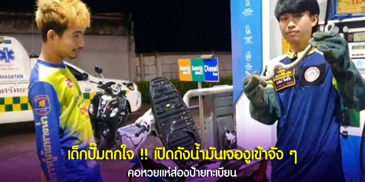 เปิดเบาะรถมอไซค์ เจองู