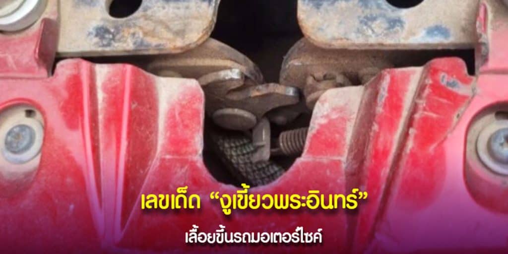 เลขงูเขี้ยวพระอินทร์
