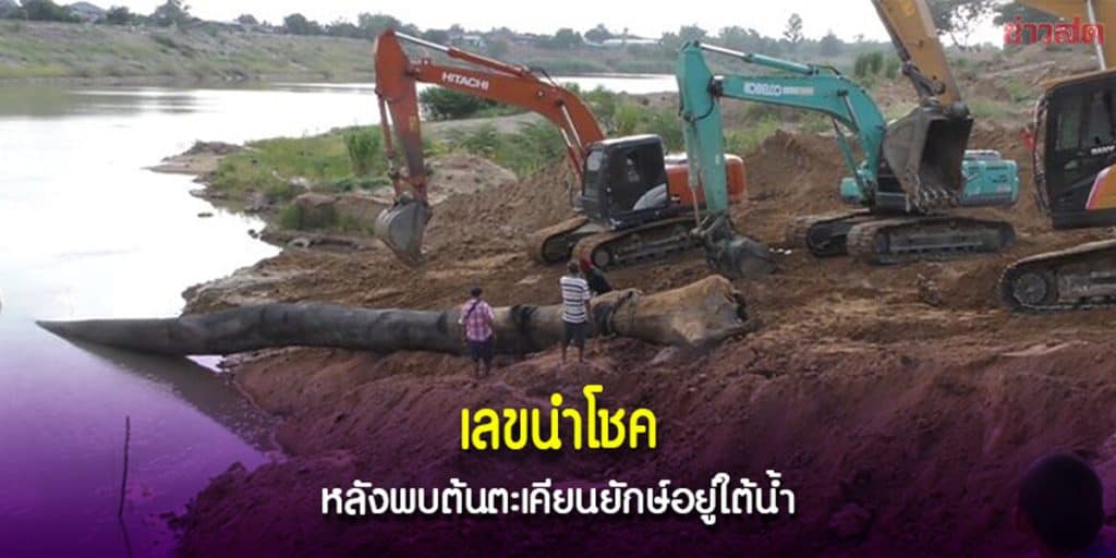 ต้นตะเคียนยักษ์ ใต้น้ำ