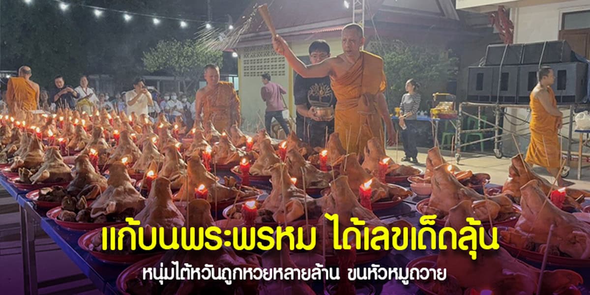หนุ่มไต้หวันแก้บนพระพรหม หัวหมู 100 หัว