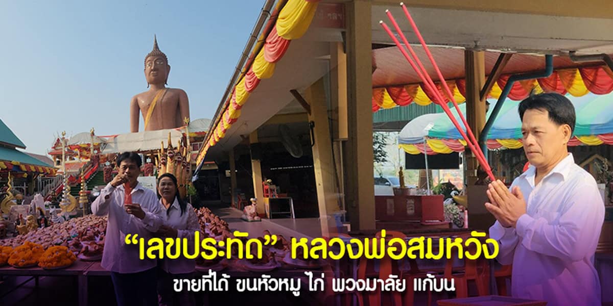 เจ้าของสวนมะพร้าวขนหัวหมู ไก่ต้ม แก้บนหลวงพ่อสมหวัง